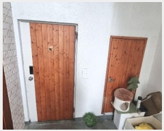  2024Ÿ113277 泲 ؽ  177-5 1      ټ,