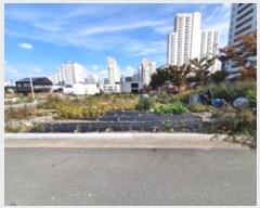  2024Ÿ��115075  �������