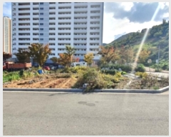  2024Ÿ��115075  �������