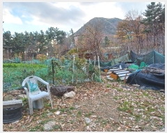  2024Ÿ��115716 �泲 ���ؽ� ��赿 388-3       ����(�Ӿ�)���