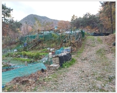  2024Ÿ��115716 �泲 ���ؽ� ��赿 388-3       ����(�Ӿ�)���