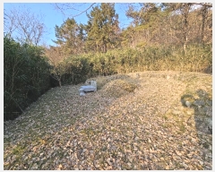  2024Ÿ��117088 �泲 ���ؽ� �뵿�� �ֵ��� 577      ����(��)���