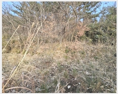  2024Ÿ��117088 �泲 ���ؽ� �뵿�� �ֵ��� 577      ����(��)���