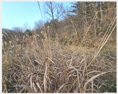  2024Ÿ��117088 �泲 ���ؽ� �뵿�� �ֵ��� 577      ����(��)���