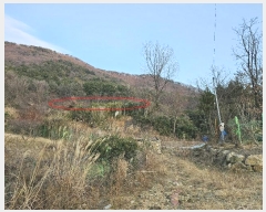  2024Ÿ��117088 �泲 ���ؽ� �뵿�� �ֵ��� 577      ����(��)���