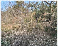  2024Ÿ��117088 �泲 ���ؽ� �뵿�� �ֵ��� 577      ����(��)���