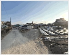  2024Ÿ��1633  ����