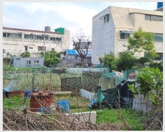  2024Ÿ��2551 �泲 â���� ���ر� �̵� 527-1      ����(��1)���