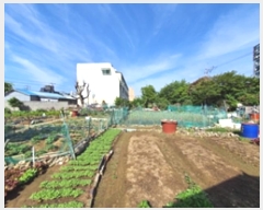  2024Ÿ��2551 �泲 â���� ���ر� �̵� 527-1      ����(��1)���