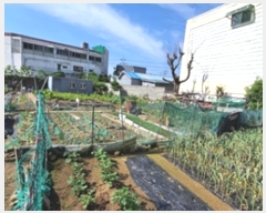  2024Ÿ��2551 �泲 â���� ���ر� �̵� 527-1      ����(��1)���