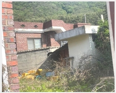  2024Ÿ2919 泲 â 걸 ͻ굿 133      ð