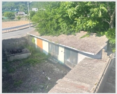  2024Ÿ2919 泲 â 걸 ͻ굿 133      ð