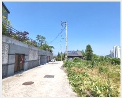  2024Ÿ3653 泲 ؽ û 215-6       ð