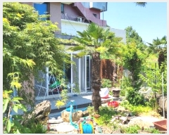  2024Ÿ3653 泲 ؽ û 215-6       ð