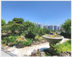  2024Ÿ3653 泲 ؽ û 215-6       ð