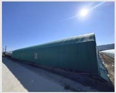  2024Ÿ5499 泲 ؽ 뵿 ֵ 27-4      ()