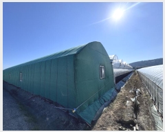  2024Ÿ5499 泲 ؽ 뵿 ֵ 27-4      ()