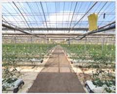  2024Ÿ5499 泲 ؽ 뵿 ֵ 27-4      ()