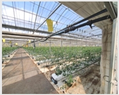  2024Ÿ5499 泲 ؽ 뵿 ֵ 27-4      ()