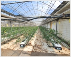  2024Ÿ5499 泲 ؽ 뵿 ֵ 27-4      ()