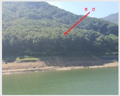  2024Ÿ5673 泲 ؽ ʸ žȸ 166-5      (Ӿ)