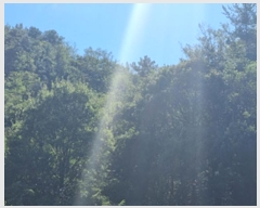  2024Ÿ6393 泲 â â ϸ 鸮 838-2     ()