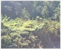  2024Ÿ6393 泲 â â ϸ 鸮 838-2     ()