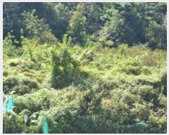  2024Ÿ6393 泲 â â ϸ 鸮 838-2     ()