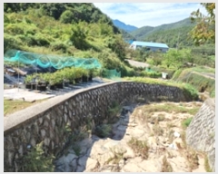  2024Ÿ6393 泲 â â ϸ 鸮 838-2     ()