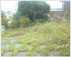  2024Ÿ��6485  �������