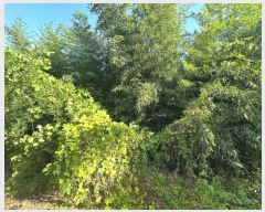  2024Ÿ��6645 �泲 ���ؽ� ���̸� ���ϸ� 888-2      ������