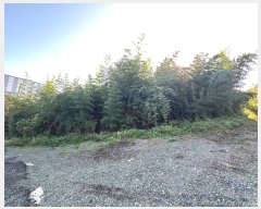  2024Ÿ��6645 �泲 ���ؽ� ���̸� ���ϸ� 888-2      ������