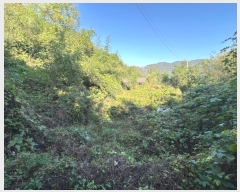  2024Ÿ��6645 �泲 ���ؽ� ���̸� ���ϸ� 888-2      ������