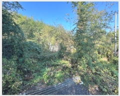  2024Ÿ��6645 �泲 ���ؽ� ���̸� ���ϸ� 888-2      ������