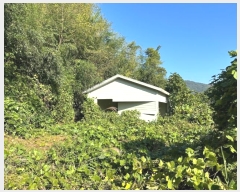  2024Ÿ��6645 �泲 ���ؽ� ���̸� ���ϸ� 888-2      ������