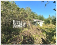  2024Ÿ��6645 �泲 ���ؽ� ���̸� ���ϸ� 888-2      ������