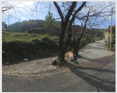  2024Ÿ��7174 �泲 ���ؽ� ������ ������ 27-8      ����(����)���