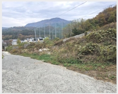  2024Ÿ��7174 �泲 ���ؽ� ������ ������ 27-8      ����(����)���