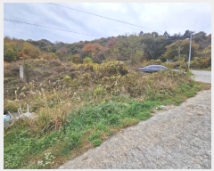  2024Ÿ��7174 �泲 ���ؽ� ������ ������ 27-8      ����(����)���