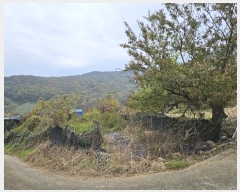  2024Ÿ7280 泲 ؽ Ѹ ݰ 647      (1)