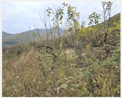  2024Ÿ7280 泲 ؽ Ѹ ݰ 647      (1)