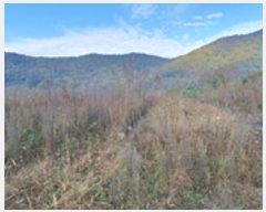  2024Ÿ7280 泲 ؽ Ѹ ݰ 647      (1)