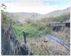  2024Ÿ7280 泲 ؽ Ѹ ݰ 647      (1)