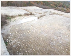  2024Ÿ��7440 �泲 ���ؽ� �󵿸� ������ 1033-9      ����(�Ӿ�)���