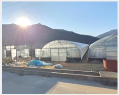  2024Ÿ7914 泲 ؽ 󵿸  1504      ()