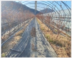  2024Ÿ7914 泲 ؽ 󵿸  1504      ()