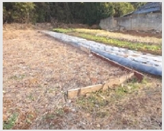  2024Ÿ��8016 �泲 ���ؽ� ���̸� ��Ҹ� 233-1      ����(����)���