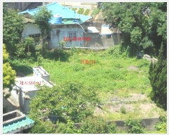  2024Ÿ��106187 �泲 â���� ��â�� ���� ���Ḯ 231-11     ����(����)���