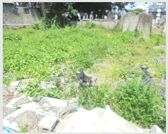  2024Ÿ��106187 �泲 â���� ��â�� ���� ���Ḯ 231-11     ����(����)���