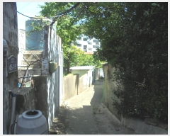  2024Ÿ��106187 �泲 â���� ��â�� ���� ���Ḯ 231-11     ����(����)���